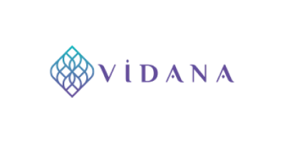 logo vidana